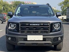 Great Wall Dachshund 2024 1.5T DCT Border Collie Edition - ფოტო 4