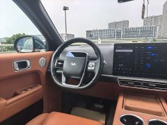 Li Auto L9 2022 Max - ფოტო 9