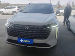 Haval H6 1.5T Two-Wheel Drive Max - ფოტო 2