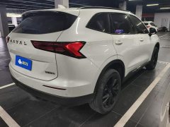 Haval H6 1.5T Two-Wheel Drive Max - ფოტო 3