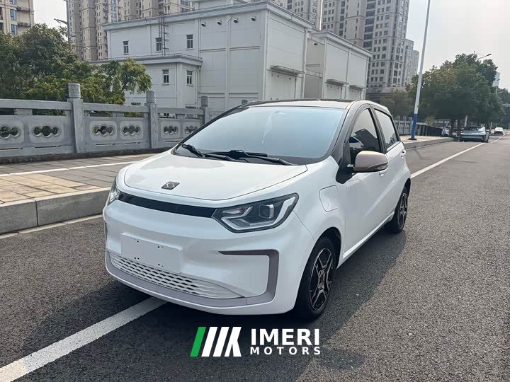 Flower Fairy Edition 302km Version - автомобиль из Китая