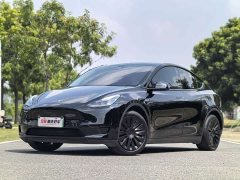 Tesla Model Y Rear-Wheel Drive - ფოტო 1