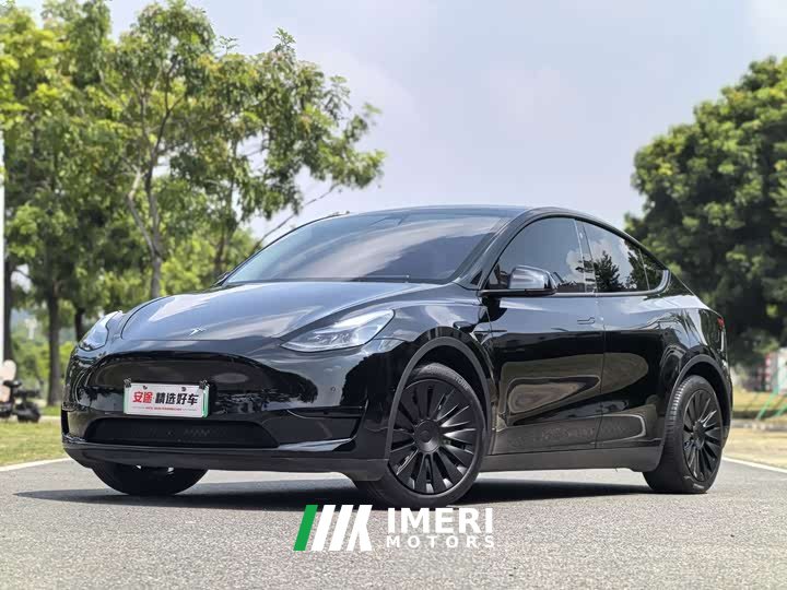 Tesla Model Y Rear-Wheel Drive