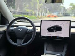Tesla Model Y Rear-Wheel Drive - ფოტო 10