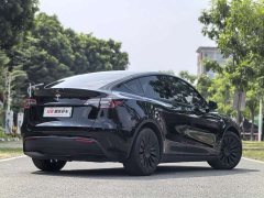 Tesla Model Y Rear-Wheel Drive - ფოტო 3