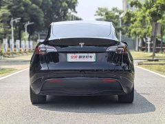 Tesla Model Y Rear-Wheel Drive - ფოტო 4