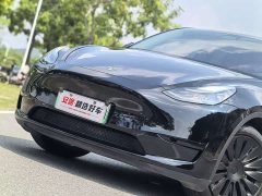 Tesla Model Y Rear-Wheel Drive - ფოტო 5