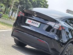 Tesla Model Y Rear-Wheel Drive - ფოტო 6