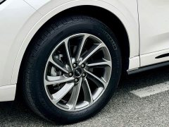 Lincoln Adventurer New Energy 2021 PHEV AWD e-Elegant - ფოტო 12