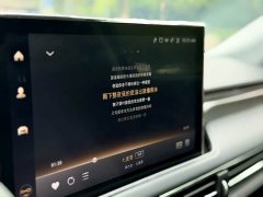 Lincoln Adventurer New Energy 2021 PHEV AWD e-Elegant - ფოტო 19