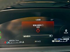 Lincoln Adventurer New Energy 2021 PHEV AWD e-Elegant - ფოტო 20