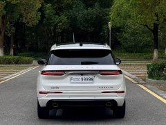 Lincoln Adventurer New Energy 2021 PHEV AWD e-Elegant - ფოტო 5