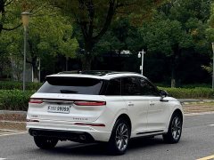 Lincoln Adventurer New Energy 2021 PHEV AWD e-Elegant - ფოტო 6