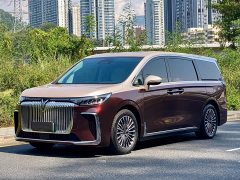 Voyah Dream PHEV Kunpeng Max - ფოტო 1