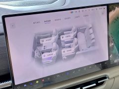 Voyah Dream PHEV Kunpeng Max - ფოტო 18
