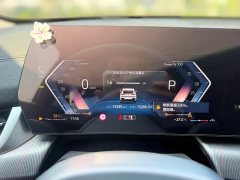 BMW X2 (Imported) sDrive25i M Sport Package - ფოტო 12