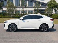 BMW X2 (Imported) sDrive25i M Sport Package - ფოტო 3