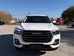 Haval H6 2021 National Trend Edition 1.5T Automatic Urban Version - ფოტო 2