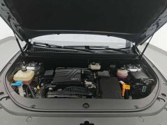 BYD Song Pro New Energy Champion Edition DM-i 110KM Excellence - ფოტო 10