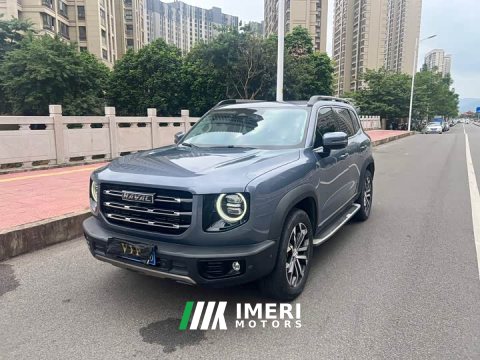 2021 Great Wall Dachshund 1.5T DCT Two-Wheel Drive Malinois Edition - ავტომობილი ჩინეთიდან