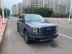 Great Wall Dachshund 1.5T DCT Two-Wheel Drive Malinois Edition - ფოტო 3