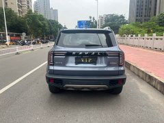 Great Wall Dachshund 1.5T DCT Two-Wheel Drive Malinois Edition - ფოტო 8