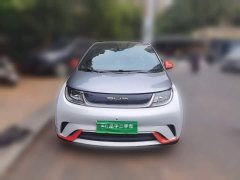 BYD Dolphin 405km Fashion Edition - ფოტო 2