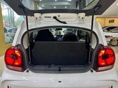 SAIC Clever 311km Vitality Pop Edition - ფოტო 19