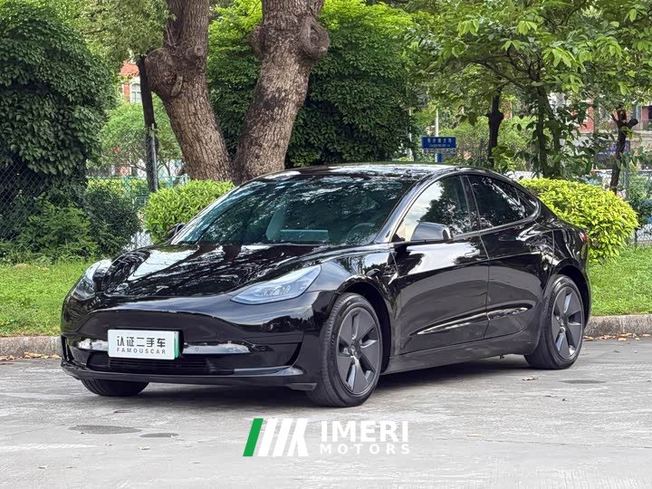 Tesla Model 3 2022 Rear-Wheel Drive - ავტომობილი ჩინეთიდან
