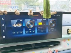 Dongfeng Nano BOX Chasing Wind Edition 331KM Advanced Type - ფოტო 13