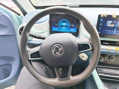 Dongfeng Nano BOX Chasing Wind Edition 331KM Advanced Type - ფოტო 15