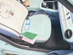 Dongfeng Nano BOX Chasing Wind Edition 331KM Advanced Type - ფოტო 8