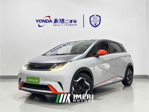 2022 BYD Dolphin 405km Fashion Edition