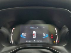 Haval Chitu 2022 Jinxiang Edition 1.5T Bronze Rabbit - ფოტო 15