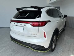 Haval Chitu 2022 Jinxiang Edition 1.5T Bronze Rabbit - ფოტო 4