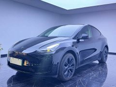 Tesla Model Y Rear-Wheel Drive - ფოტო 1