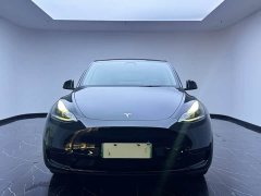 Tesla Model Y Rear-Wheel Drive - ფოტო 2