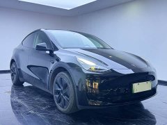 Tesla Model Y Rear-Wheel Drive - ფოტო 3