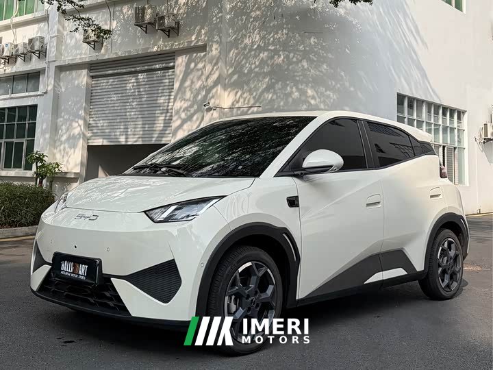 BYD Seagull 2025 Smart Driving Edition 305km Freedom Edition - ავტომობილი ჩინეთიდან