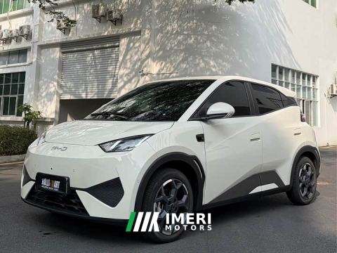 2026 BYD Seagull Smart Driving Edition 305km Freedom Edition