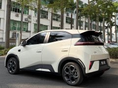 BYD Seagull 2025 Smart Driving Edition 305km Freedom Edition - ფოტო 4