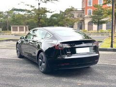 Tesla Model 3 Rear-Wheel Drive - ფოტო 9