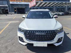 Haval H6 National Trend Edition 1.5T Automatic Urban Version - ფოტო 2