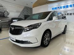 Buick GL8 ES Land Respect 653T Respect Enjoyment Edition - ფოტო 1