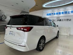 Buick GL8 ES Land Respect 653T Respect Enjoyment Edition - ფოტო 4