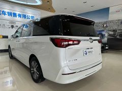 Buick GL8 ES Land Respect 653T Respect Enjoyment Edition - ფოტო 6