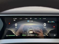 Denza BYD Denza D9 DM-i 1050 Premium - ფოტო 17