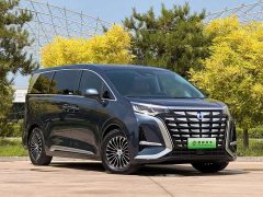 Denza BYD Denza D9 DM-i 1050 Premium - ფოტო 3