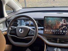 Denza BYD Denza D9 DM-i 1050 Premium - ფოტო 4