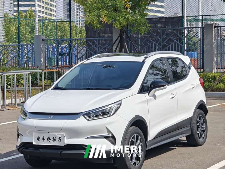BYD Yuan Pro 401KM Deluxe - ავტომობილი ჩინეთიდან